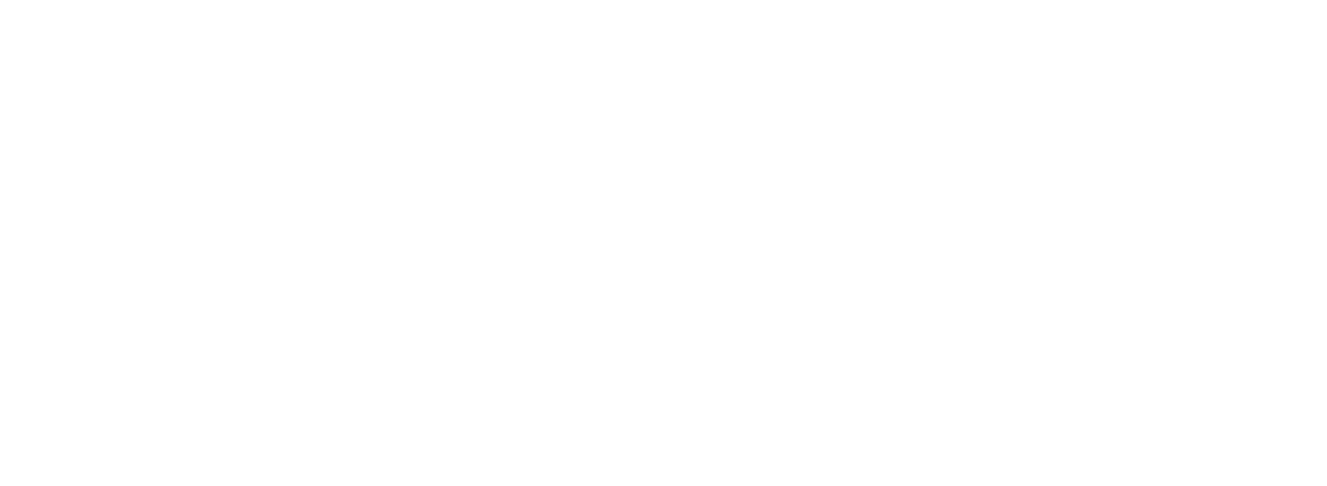 Liberty Fencing White Logo