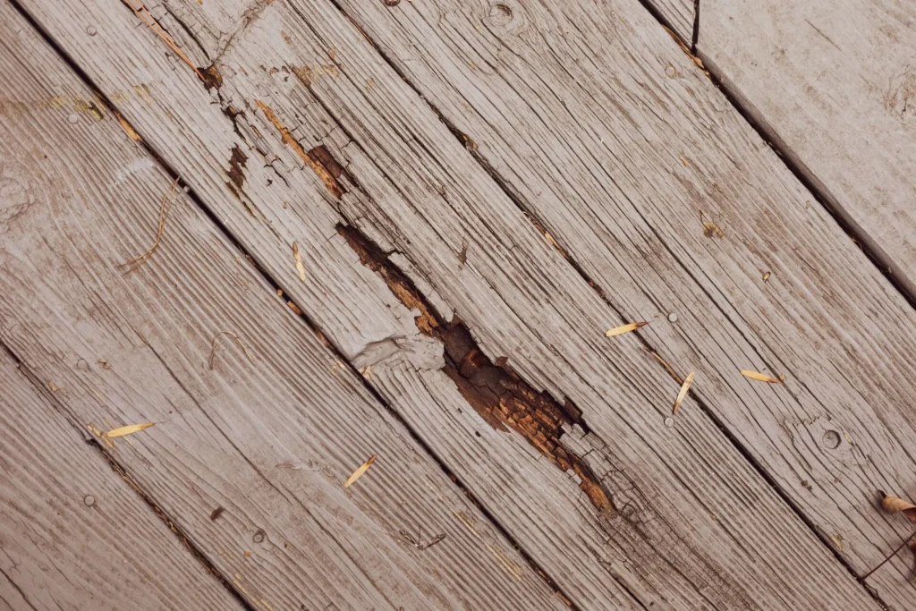 close up of wooden deck board with a crack in it